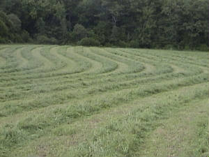 Jencks4-2007.JPG